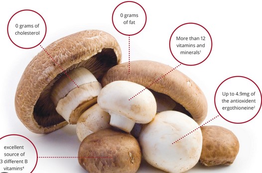Exploring the Health Benefits of Mushrooms: From Reishi to Shiitake