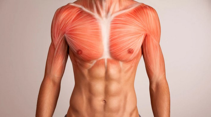 Partial Pec Tear: Symptoms, Treatment, and Recovery